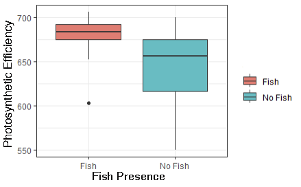 Fig 4. Photosynthetic efficiency of healed tissue as a function of fish presence. Note that the two distributions are similar, but the fish treatment has greater overall photosynthetic efficiency.